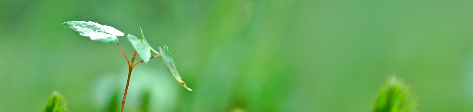 长沙节能环保网站建设,长沙节能环保网站设计方案